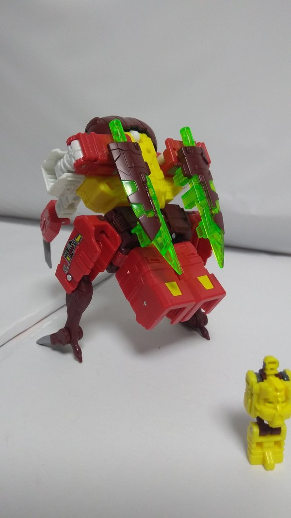 Transformers Generations Special Edition Repugnus In Hand Photos 07 (7 of 8)